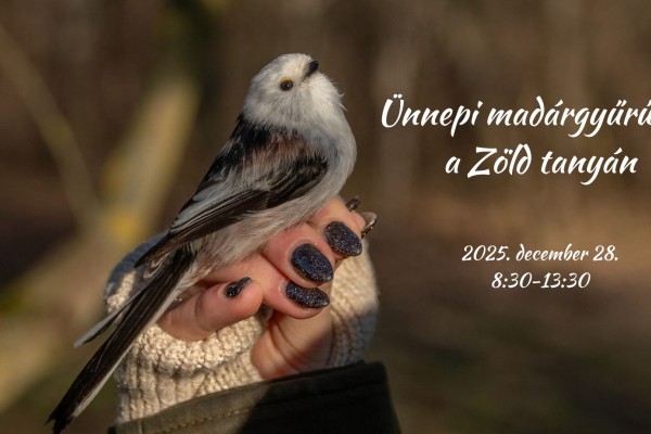 Ünnepi madárgyűrűzés a Zöld Tanyán