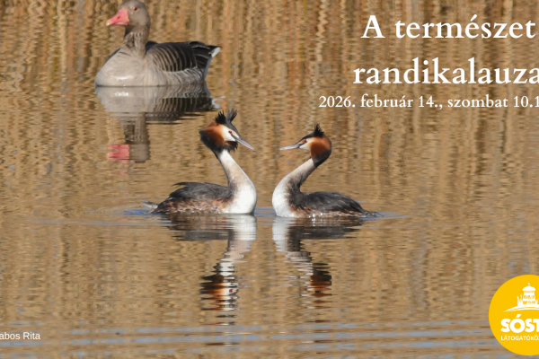 A természet randikalauza - Ökotúra