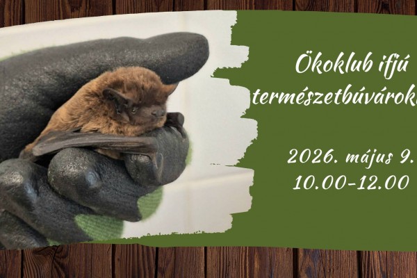 Ökoklub ifjú természetbúvároknak