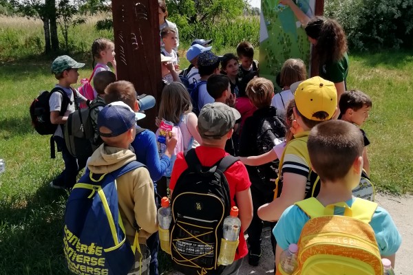 Őszi Barangoló a Sóstón