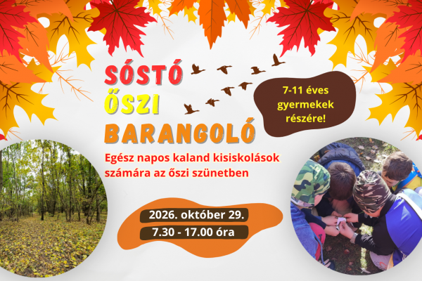 Őszi Barangoló a Sóstón